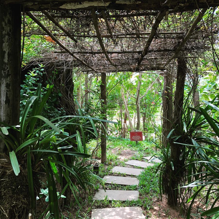 Angkor Rural Boutique Resort Siem Reap Exterior foto